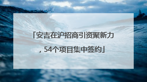 安吉在沪招商引资聚新力，54个项目集中签约