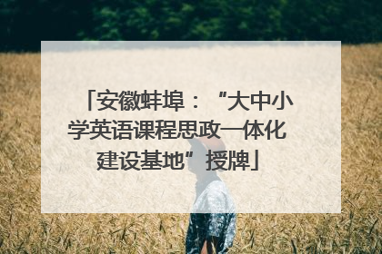 安徽蚌埠：“大中小学英语课程思政一体化建设基地”授牌