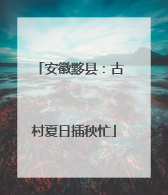 安徽黟县：古村夏日插秧忙