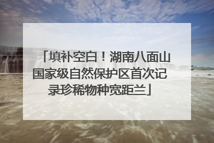 填补空白！湖南八面山国家级自然保护区首次记录珍稀物种宽距兰