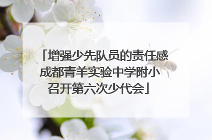 增强少先队员的责任感 成都青羊实验中学附小召开第六次少代会