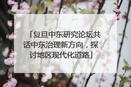 复旦中东研究论坛共话中东治理新方向，探讨地区现代化道路