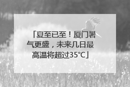 夏至已至！厦门暑气更盛，未来几日最高温将超过35℃
