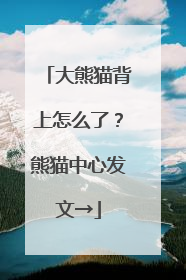 大熊猫背上怎么了？熊猫中心发文→