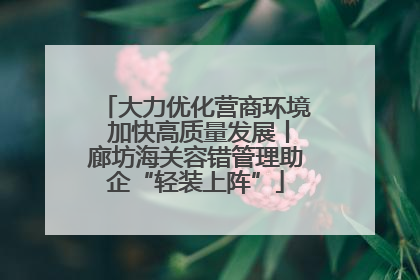 大力优化营商环境 加快高质量发展丨廊坊海关容错管理助企“轻装上阵”