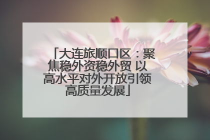大连旅顺口区：聚焦稳外资稳外贸 以高水平对外开放引领高质量发展