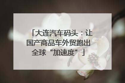 大连汽车码头：让国产商品车外贸跑出全球“加速度”