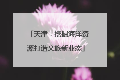 天津：挖掘海洋资源打造文旅新业态