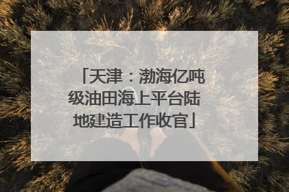 天津：渤海亿吨级油田海上平台陆地建造工作收官