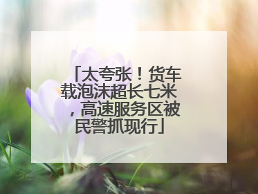 太夸张！货车载泡沫超长七米，高速服务区被民警抓现行