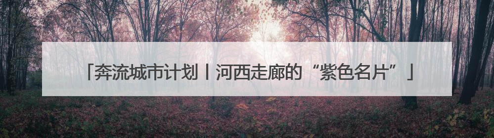 奔流城市计划丨河西走廊的“紫色名片”