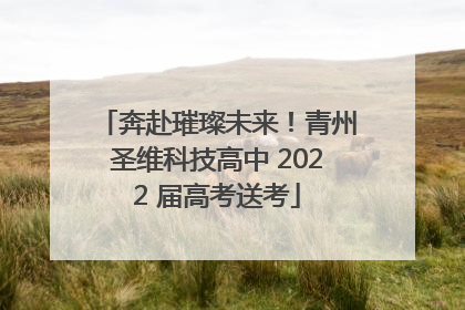 奔赴璀璨未来！青州圣维科技高中 2022 届高考送考