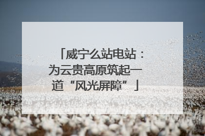威宁么站电站：为云贵高原筑起一道“风光屏障”