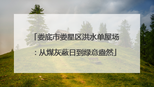 娄底市娄星区洪水单屋场：从煤灰蔽日到绿意盎然