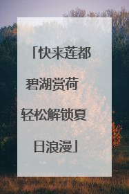 快来莲都碧湖赏荷 轻松解锁夏日浪漫