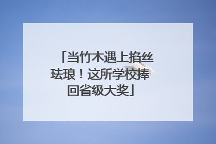 当竹木遇上掐丝珐琅！这所学校捧回省级大奖