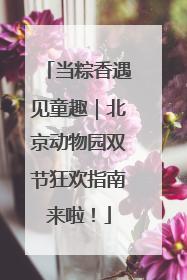当粽香遇见童趣｜北京动物园双节狂欢指南来啦！