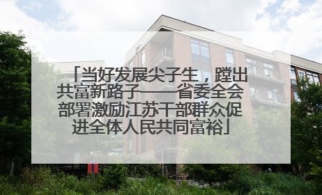 当好发展尖子生，蹚出共富新路子——省委全会部署激励江苏干部群众促进全体人民共同富裕