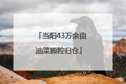 当阳43万余亩油菜颗粒归仓
