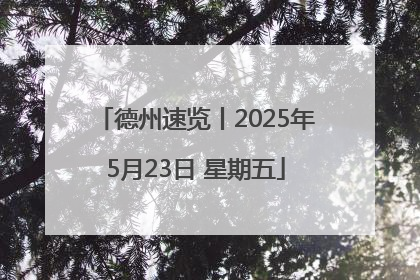 德州速览丨2025年5月23日 星期五
