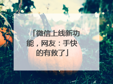 微信上线新功能，网友：手快的有救了