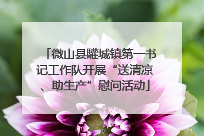 微山县驩城镇第一书记工作队开展“送清凉、助生产”慰问活动