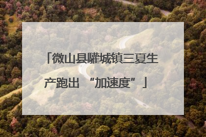 微山县驩城镇三夏生产跑出 “加速度”