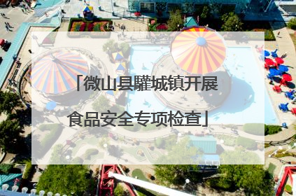 微山县驩城镇开展食品安全专项检查