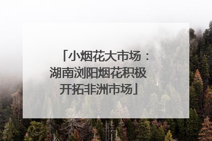 小烟花大市场：湖南浏阳烟花积极开拓非洲市场