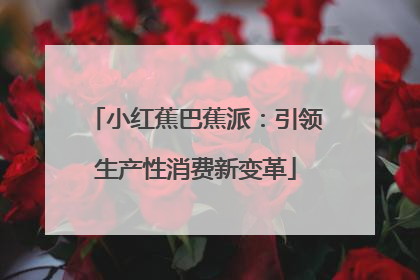 小红蕉巴蕉派：引领生产性消费新变革