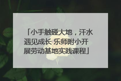 小手触碰大地，汗水遇见成长 乐师附小开展劳动基地实践课程