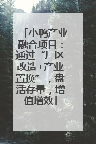 小鸭产业融合项目：通过“厂区改造+产业置换”，盘活存量，增值增效