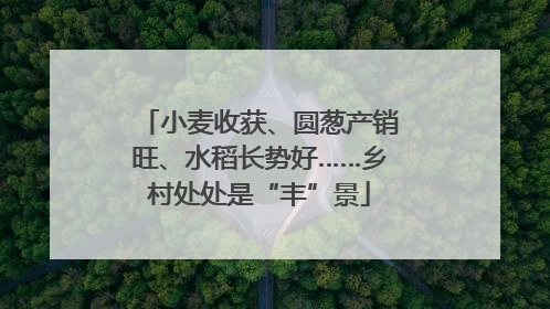 小麦收获、圆葱产销旺、水稻长势好……乡村处处是“丰”景
