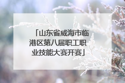山东省威海市临港区第八届职工职业技能大赛开赛