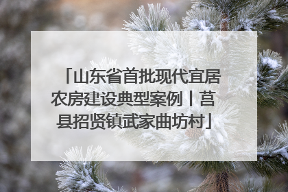 山东省首批现代宜居农房建设典型案例丨莒县招贤镇武家曲坊村