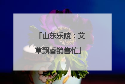 山东乐陵：艾草飘香销售忙