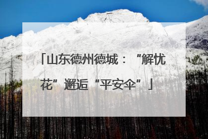 山东德州德城：“解忧花”邂逅“平安伞”