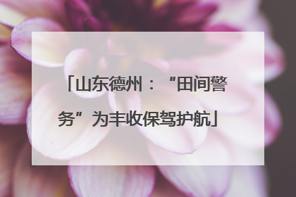 山东德州：“田间警务”为丰收保驾护航