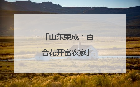 山东荣成：百合花开富农家