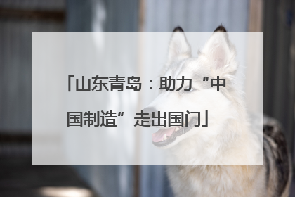 山东青岛：助力“中国制造”走出国门