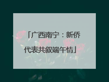 广西南宁：新侨代表共叙端午情