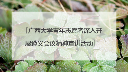 广西大学青年志愿者深入开展遵义会议精神宣讲活动