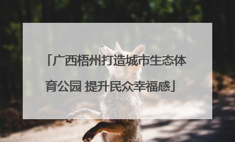 广西梧州打造城市生态体育公园 提升民众幸福感