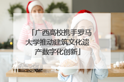 广西高校携手罗马大学推动建筑文化遗产数字化创新