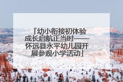 幼小衔接初体验 成长启航正当时——怀远县永平幼儿园开展参观小学活动