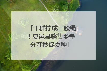 干群拧成一股绳！夏邑县骆集乡争分夺秒促夏种