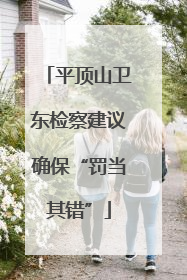 平顶山卫东检察建议确保“罚当其错”