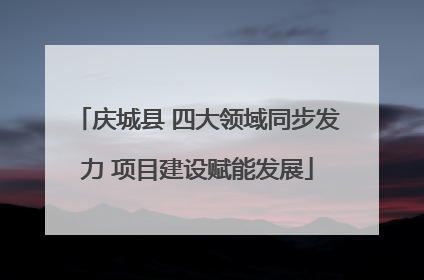 庆城县 四大领域同步发力 项目建设赋能发展