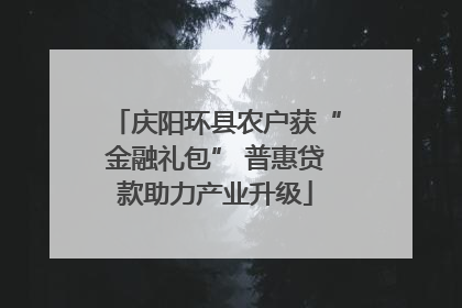 庆阳环县农户获“金融礼包” 普惠贷款助力产业升级