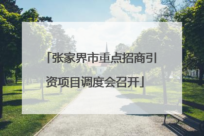 张家界市重点招商引资项目调度会召开
